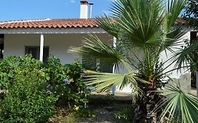 Litochoro Apartment In Estate A1